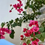 Kaldera *